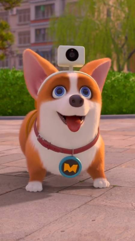 飞狗moco#飞狗moco:请叫我,摄影大师!