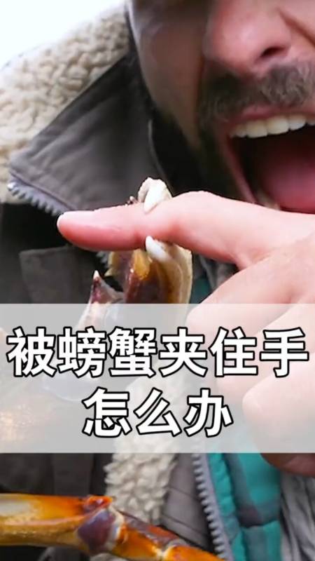 我要上热门#你有被螃蟹夹住手过吗?是不是很痛?