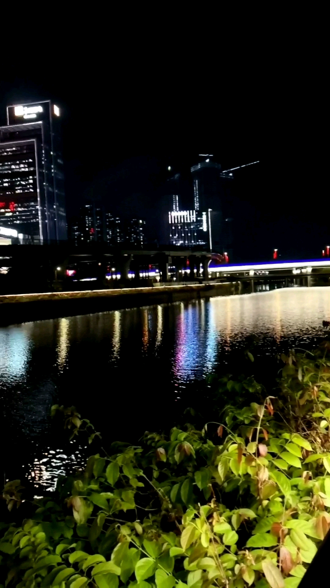 晚上河边散步,凉风习习,心旷神怡,体验一下吧.