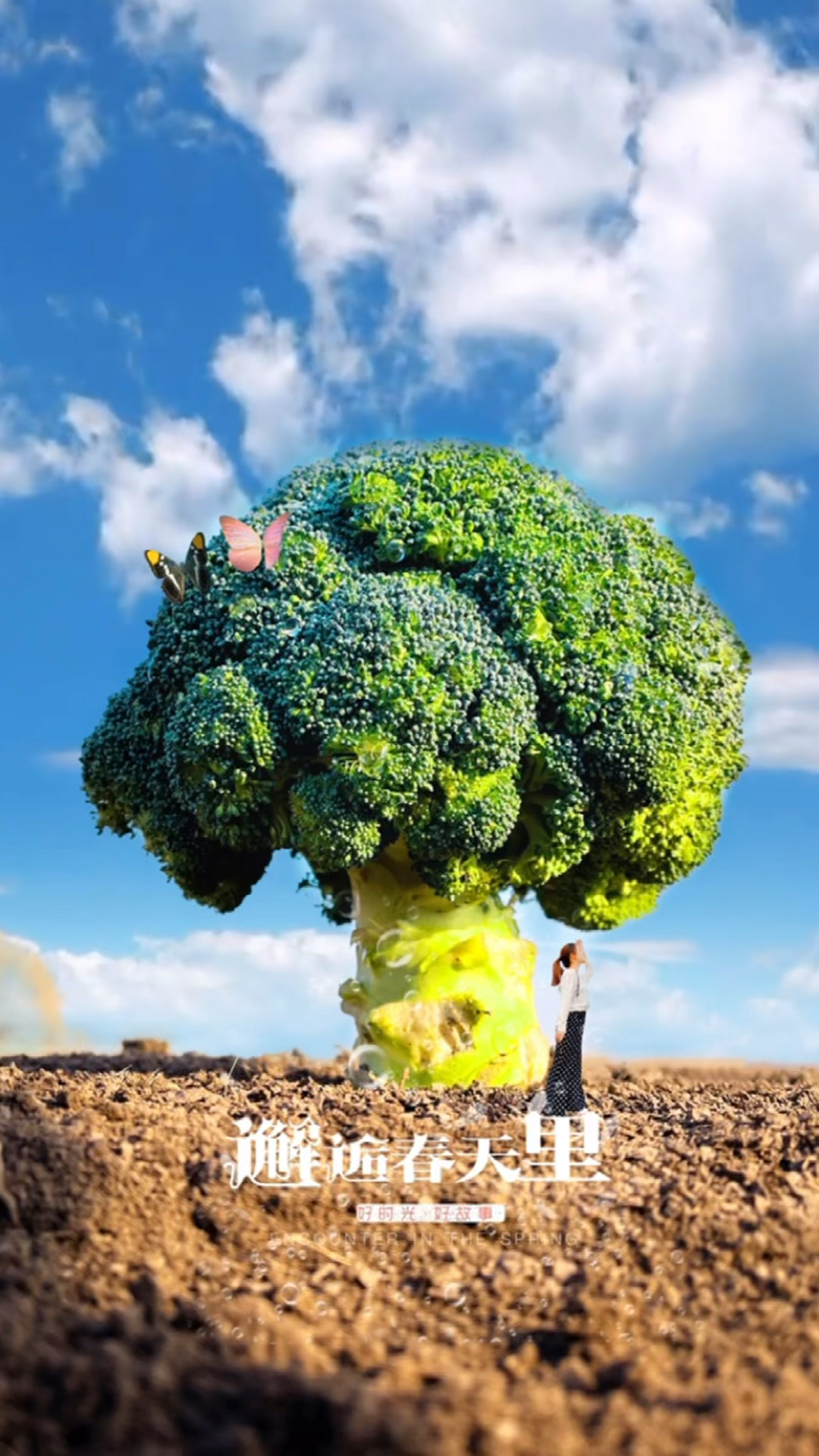 西兰花西兰花这样拍又要涨价了这样拍的错位照太好玩了