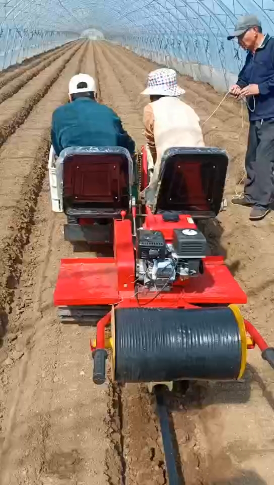 生姜种植#大姜生姜种植播种机,轻松干活,还不耽误聊天