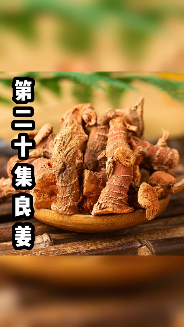 第二十集良姜良姜在卤水中主要起什么作用