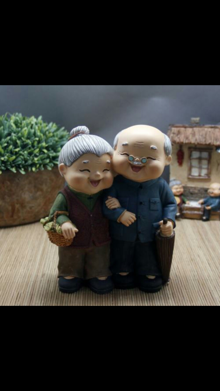 爱情最好的模样,携手相伴到老!