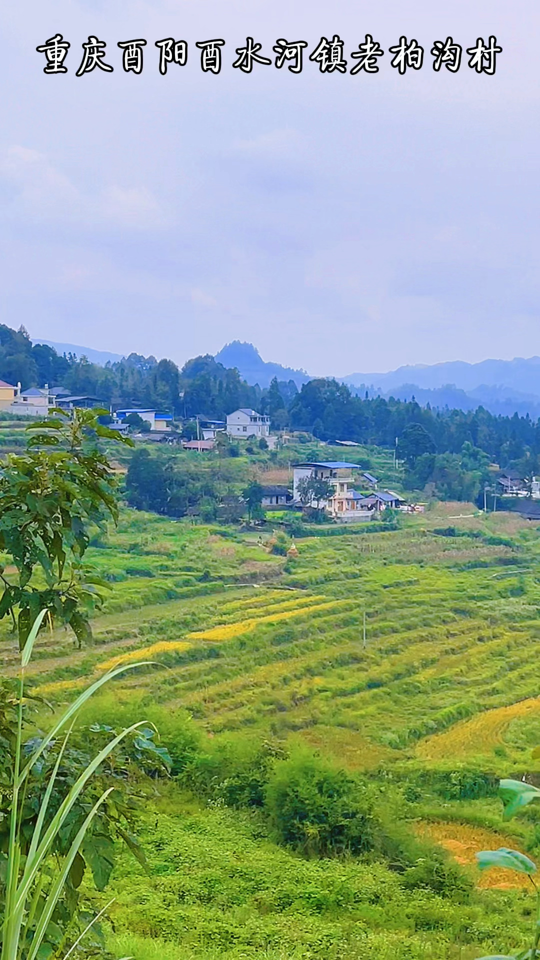 乡村生活老柏沟村归属于重庆酉阳县酉水河镇村里友好好客风景如画空气