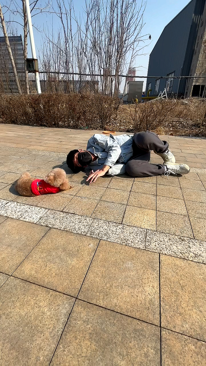 狗子模仿秀#这只狗子成精了,模仿主人动作.