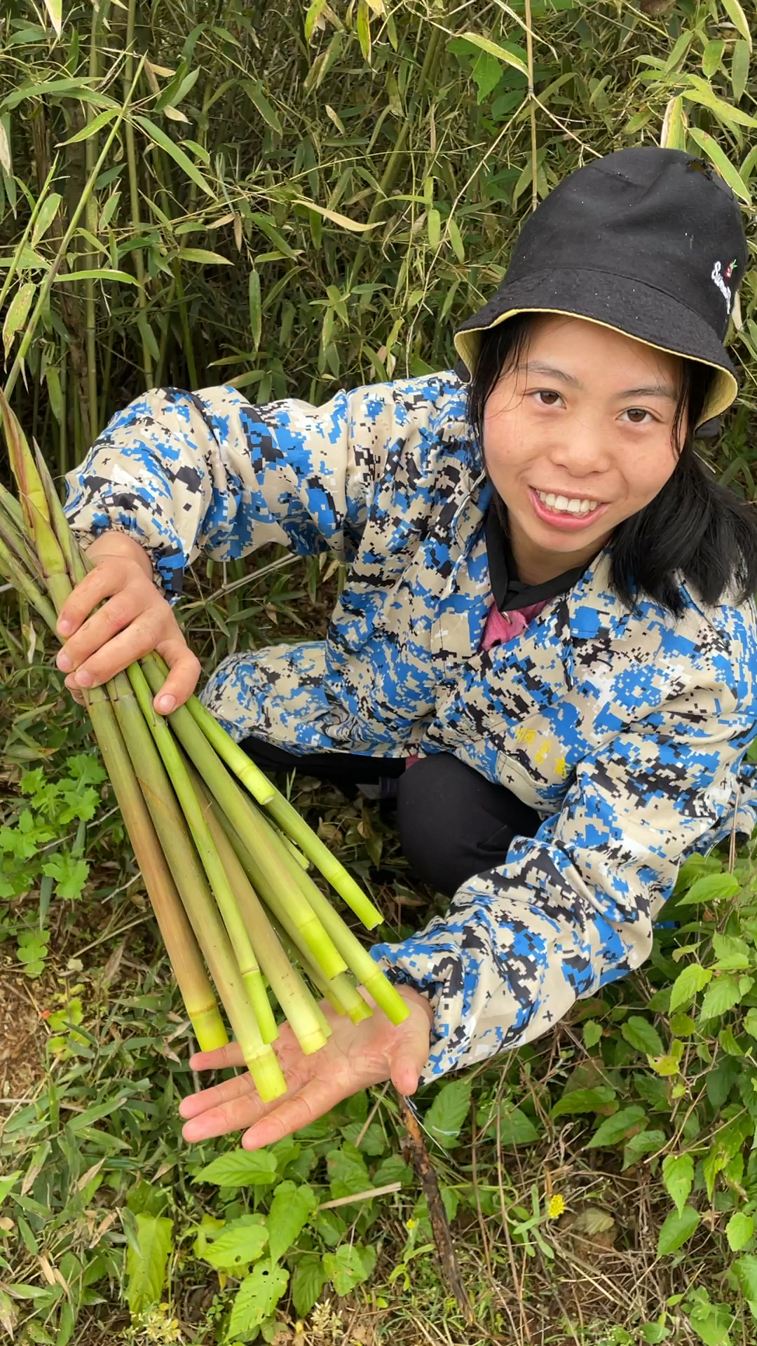 小秀竹林里拔新鲜小竹笋