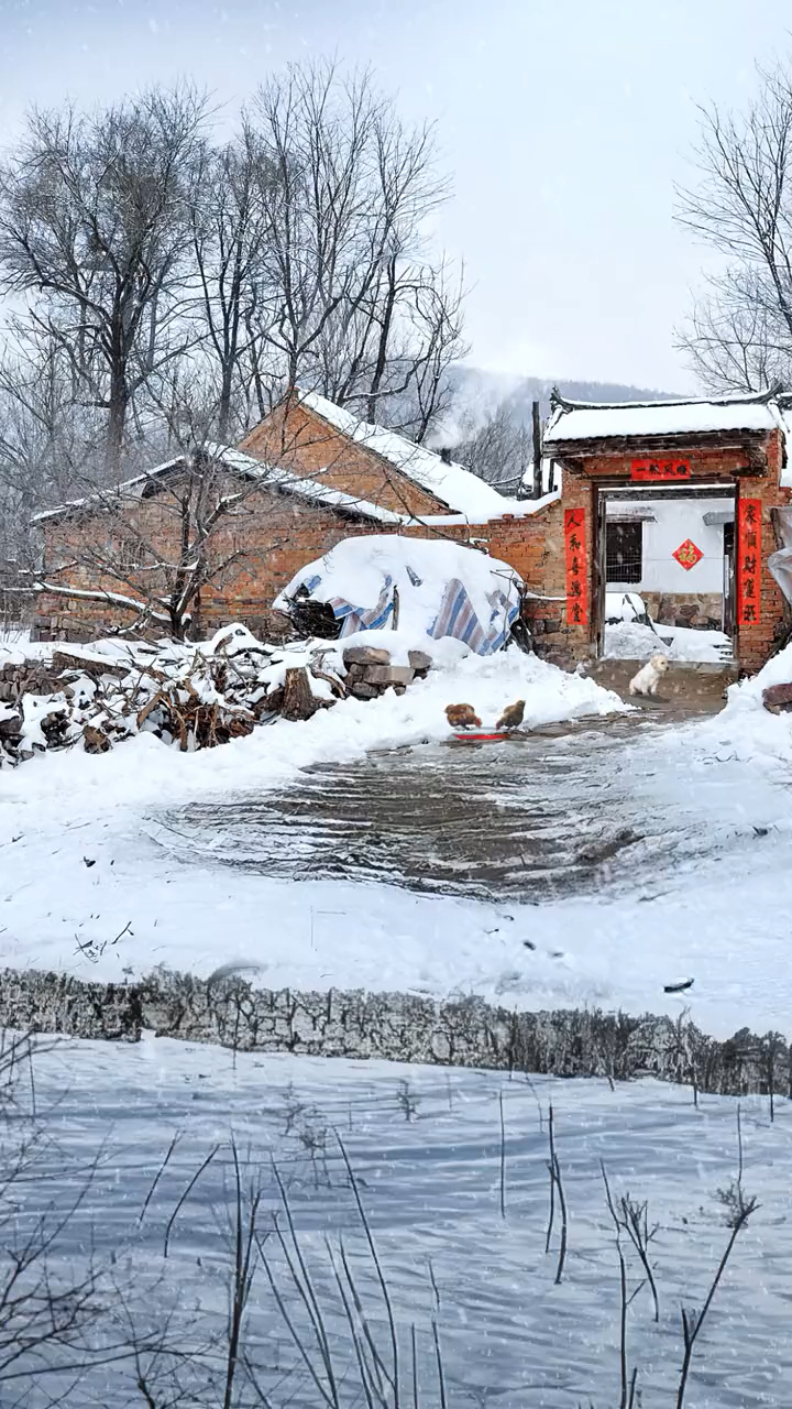 记忆中儿时过年总会下雪,抓一把母亲炒的零嘴,跑着和小伙伴出去玩雪