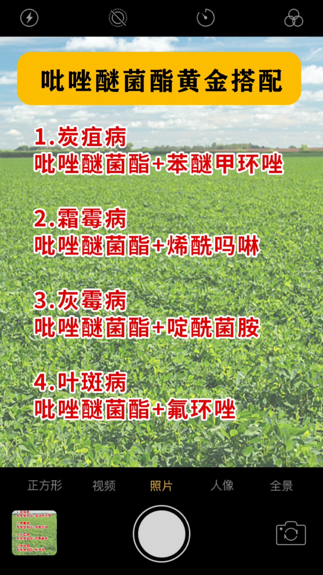 今天给大家分享咗醚氟环唑的黄金搭配