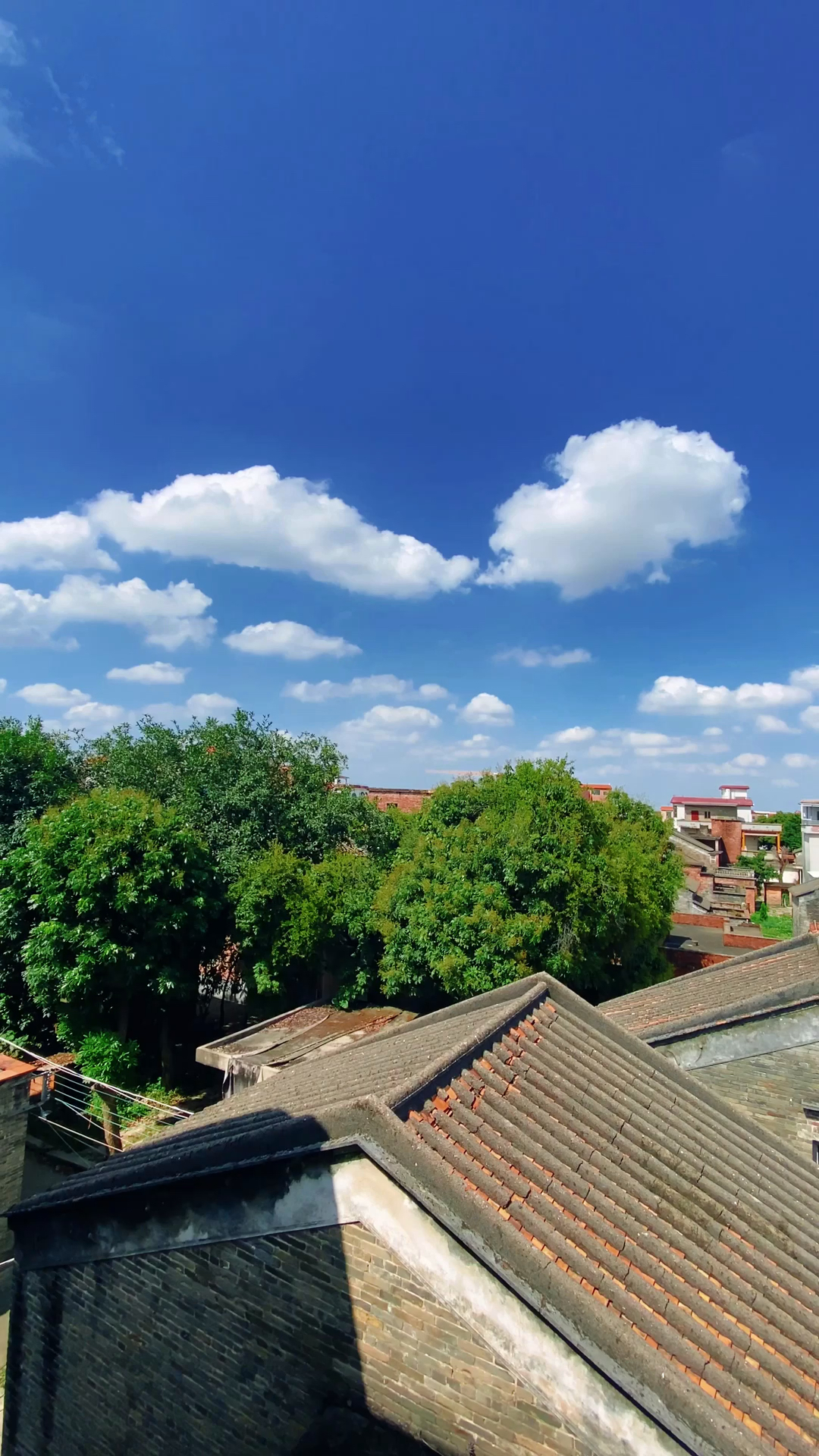 夏天到了,农村的风景真好,很喜欢这蓝蓝的天空