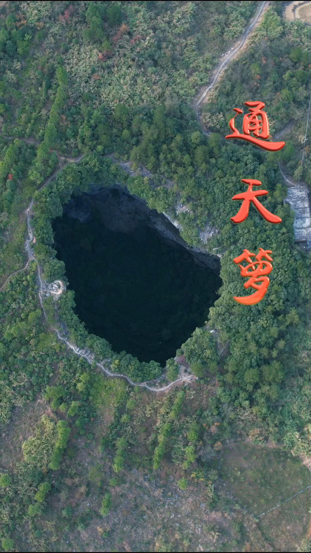 记录生活广东发现一个巨型天坑当地人称通天箩非常神秘
