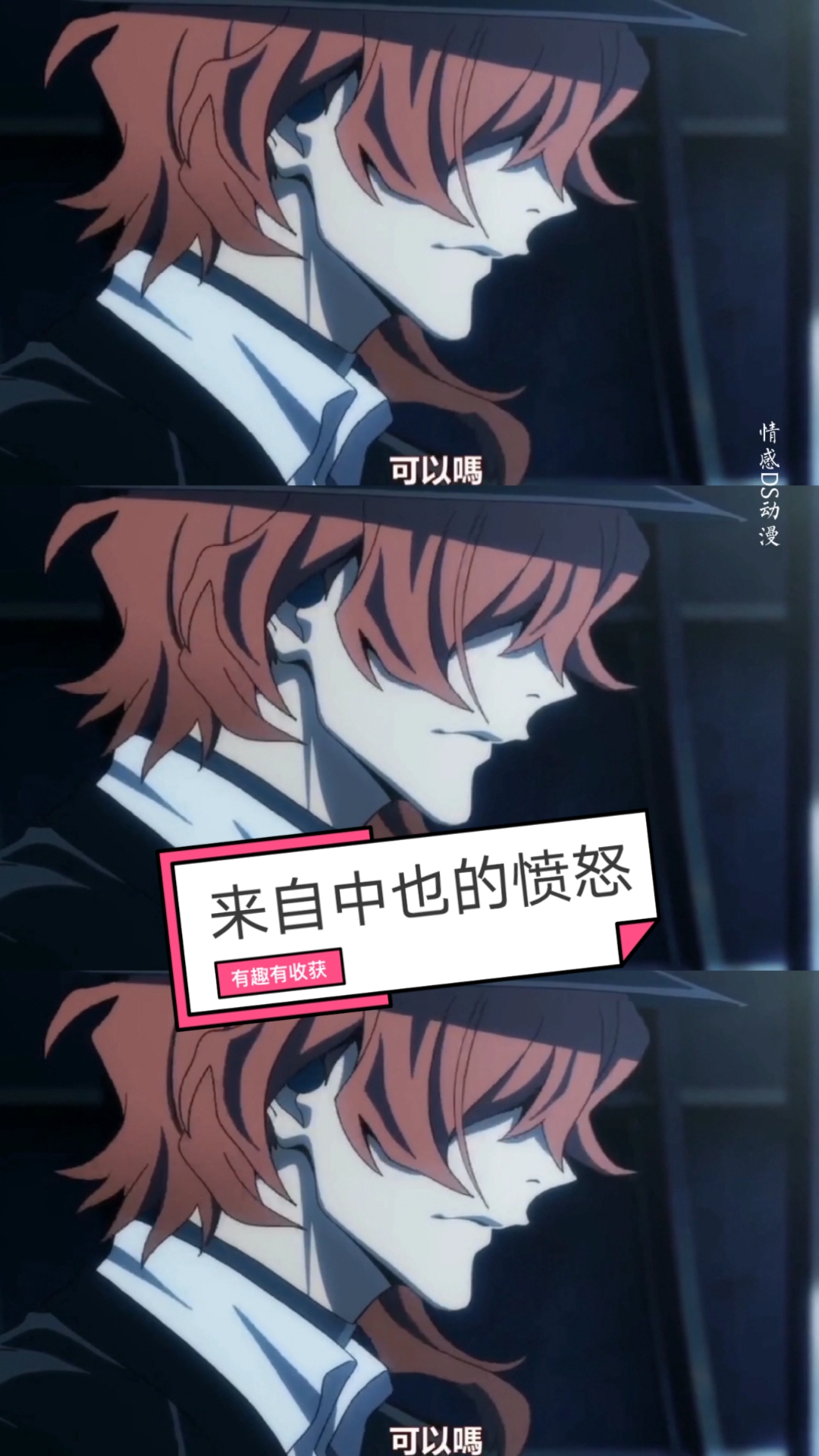 文豪野犬#来自中也的愤怒