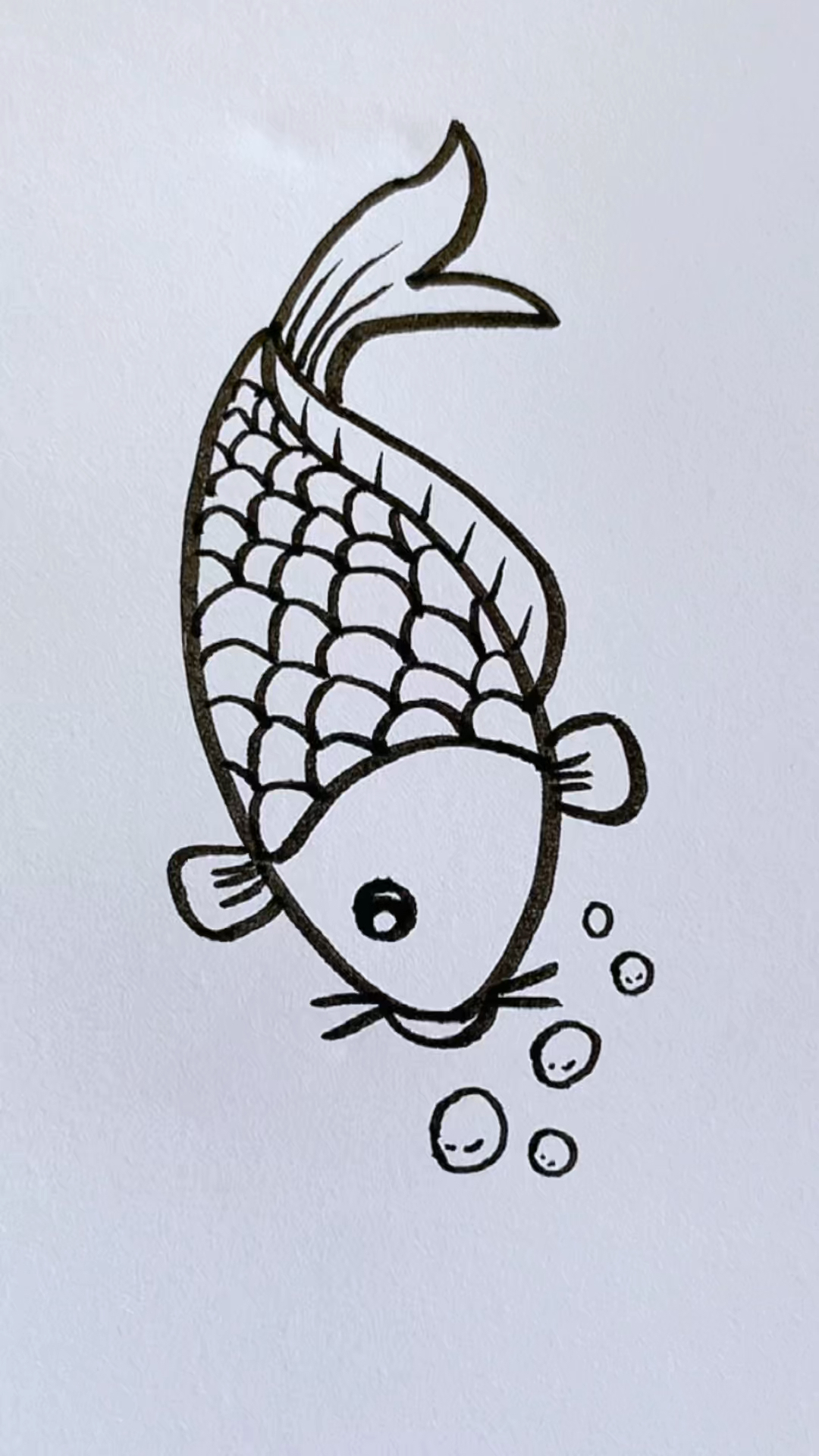 组队一起学画幸运锦鲤吧一学就会简笔画育儿简笔画一起学画画育儿简