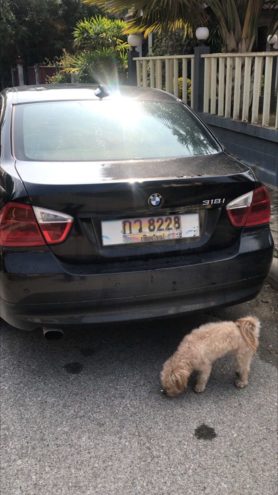 泰国人喜欢什么样的车牌