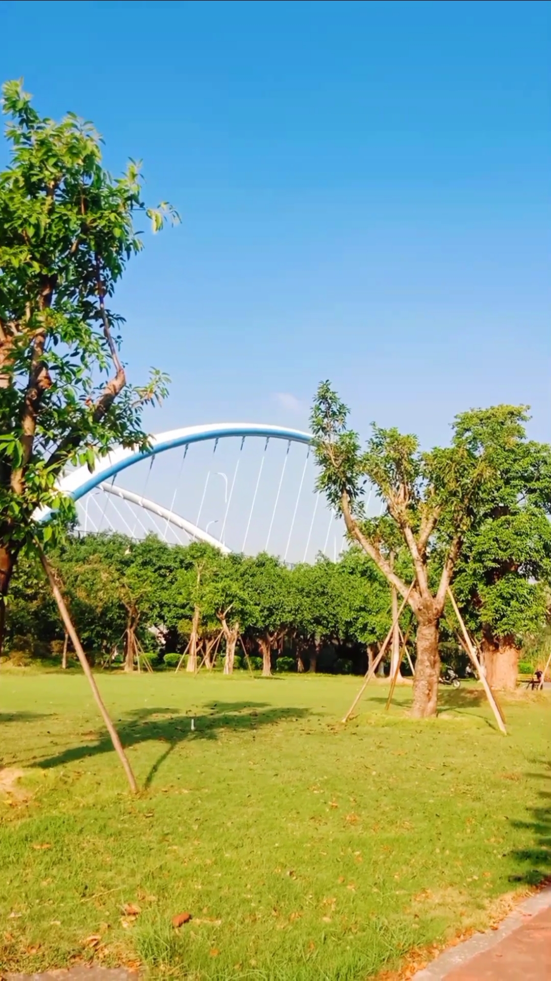 广东省中山市蝴蝶桥