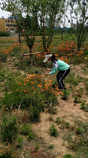 音为有你#抓蝴蝶的小姑娘