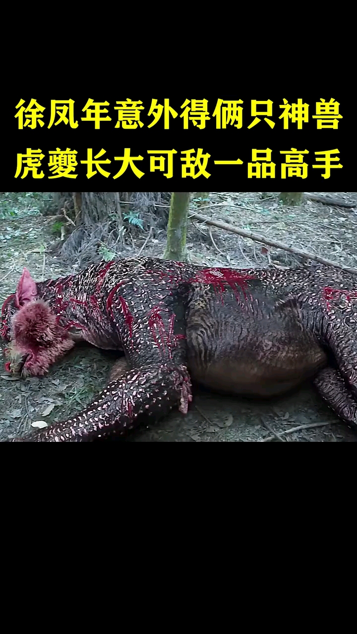 雪中悍刀行徐凤年得两神兽虎夔长大后可敌一品高手