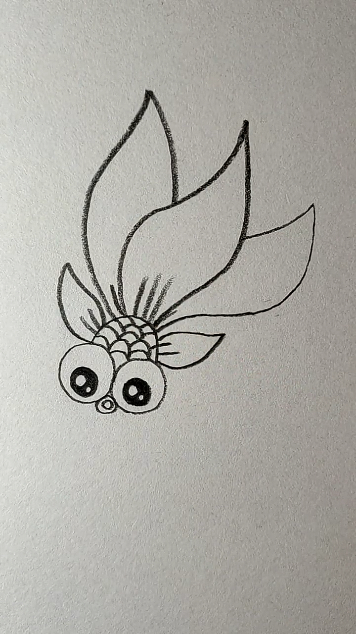 金鱼的简笔画简单图片