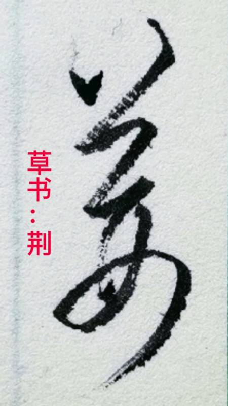 一起写草书#"荆"字的草书写法