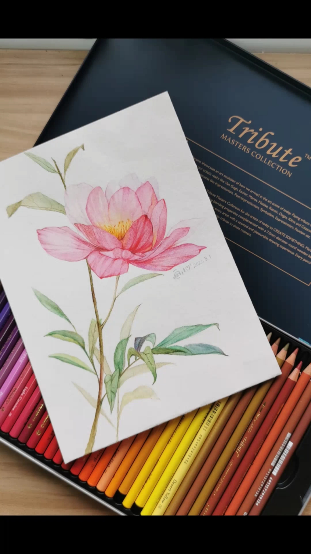 水溶彩铅#水溶彩铅画水彩效果