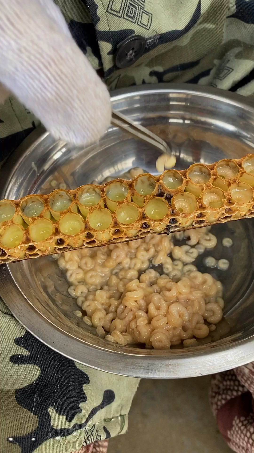 蜂王浆非常难取得一勺一勺的挖出来取好的蜂王浆必须第一时间放在冰箱