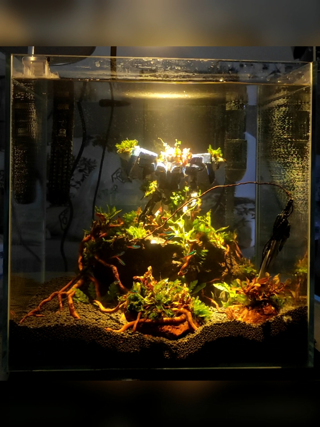 高达鱼缸#高达鱼缸花海灯效