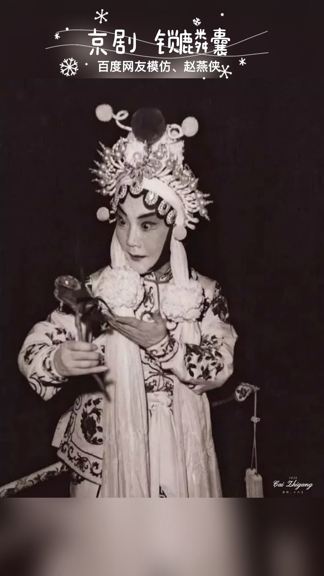 网友模仿赵燕侠演唱锁麟囊片段