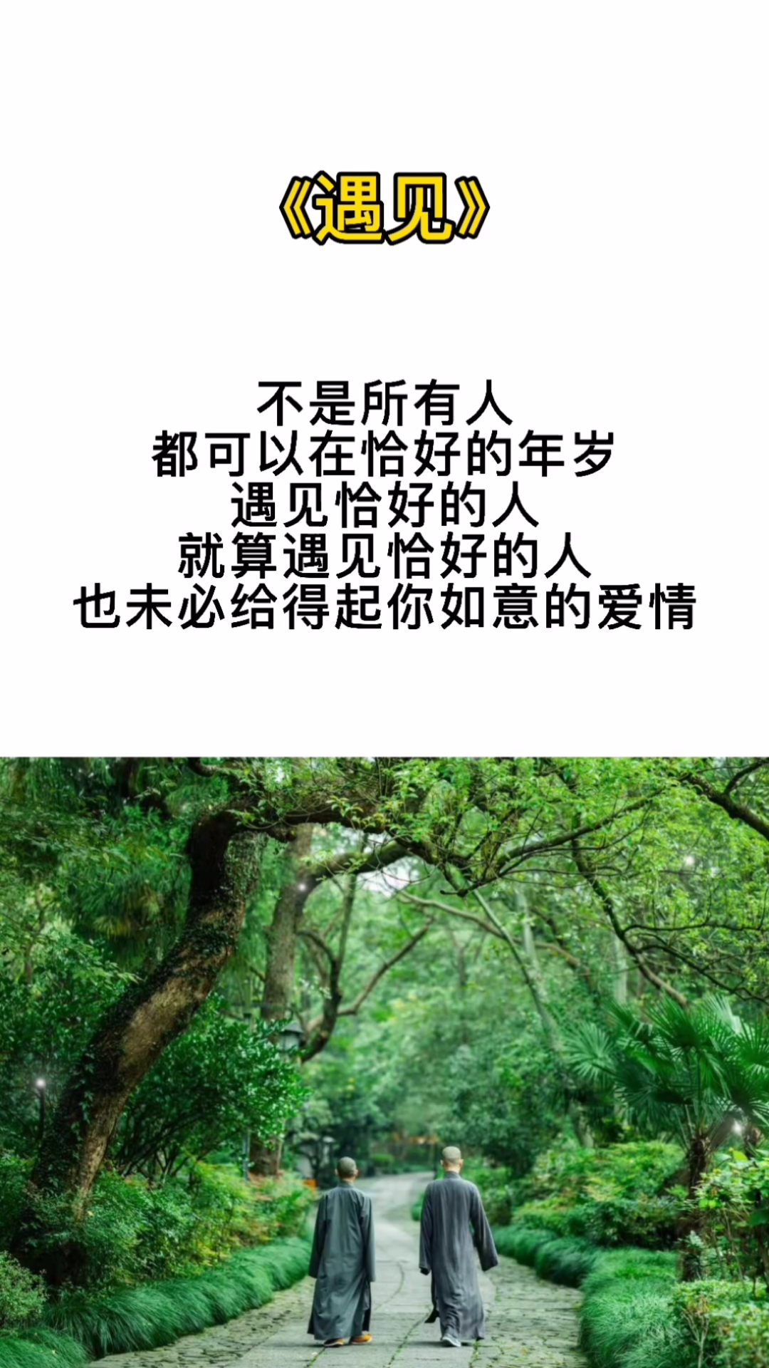 扎心情感语录#不是所有人都能遇到合适的爱情