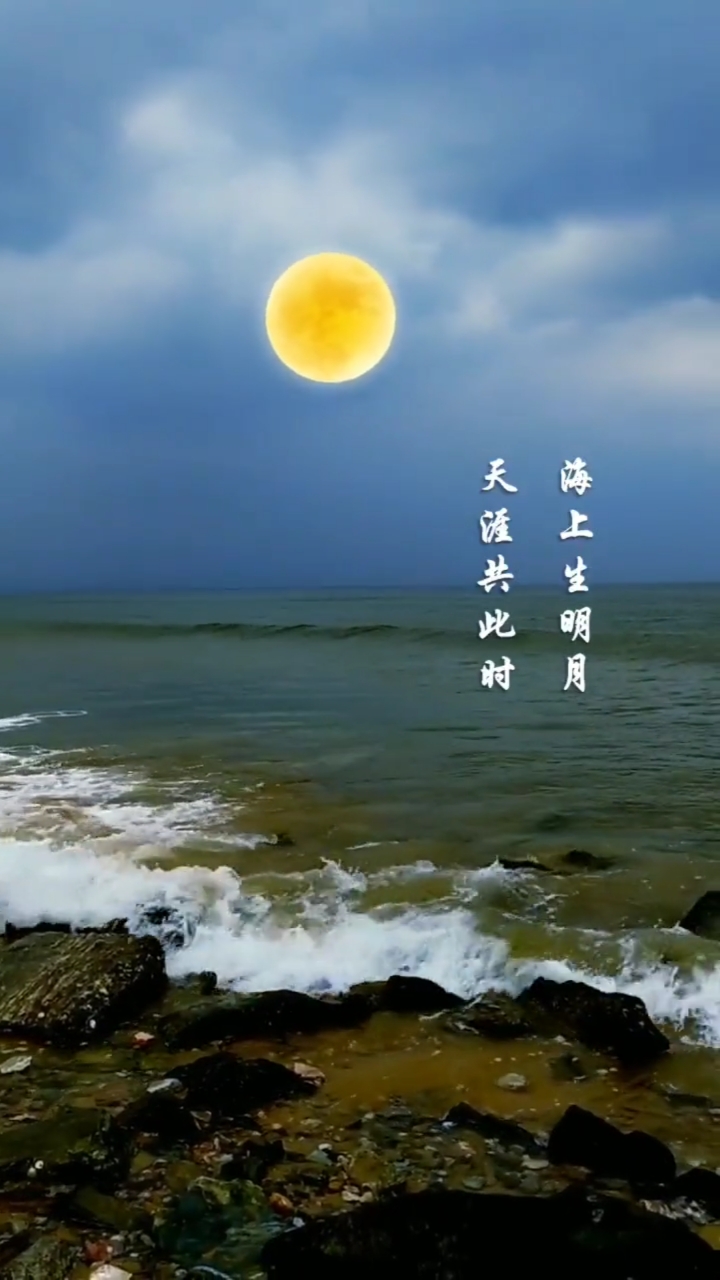 一起看海