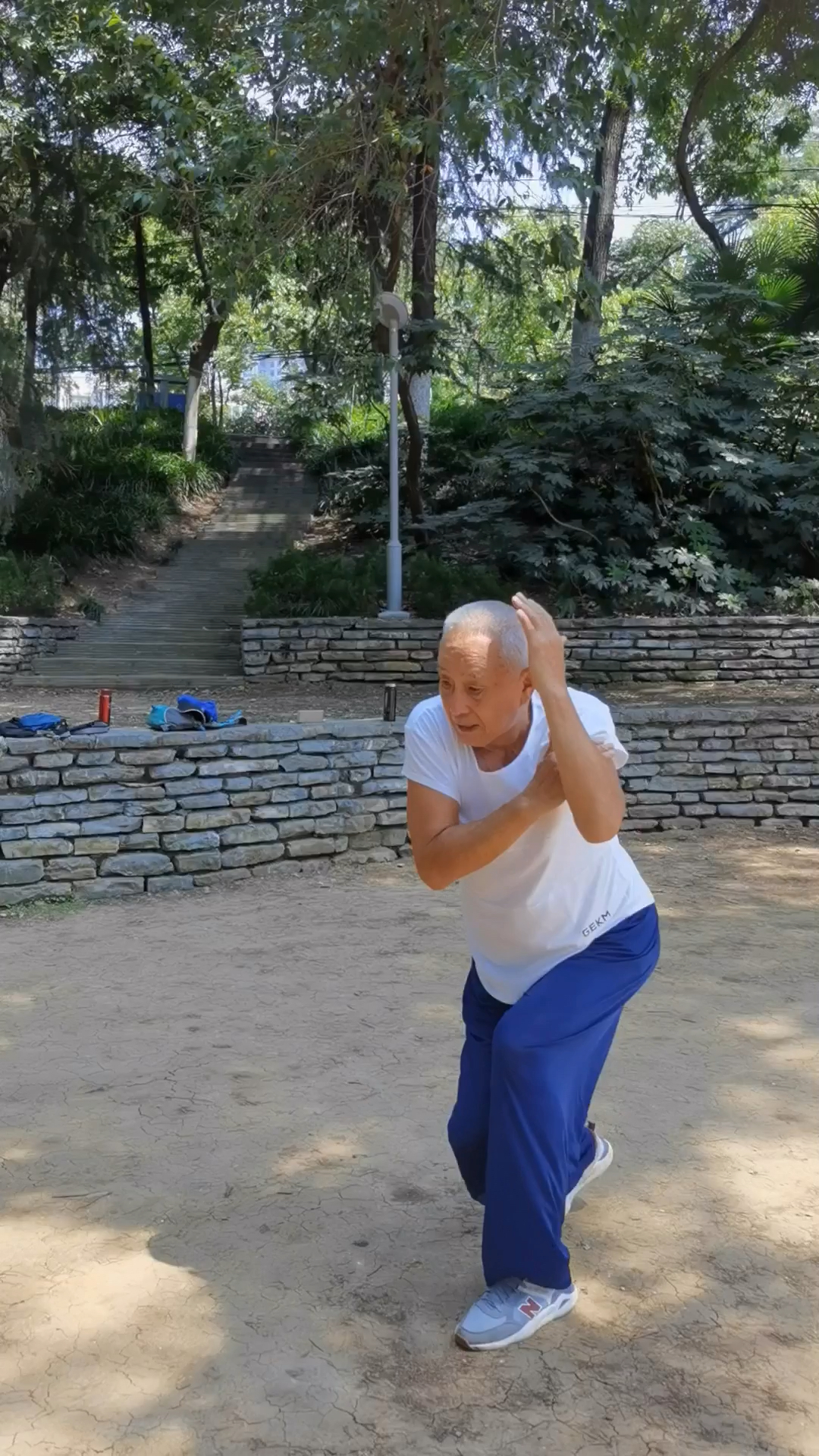 心意拳#心意六合拳名家张宁卫老师演练猴形十字小裹