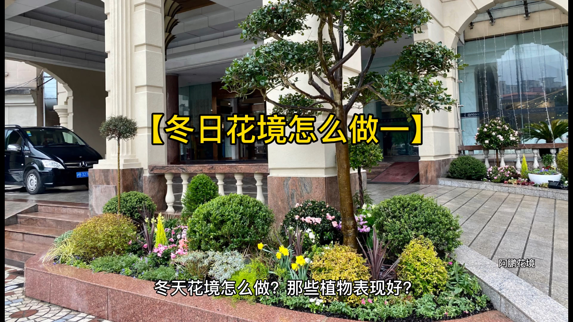 每天一点冷知识#冬天花境怎么做?
