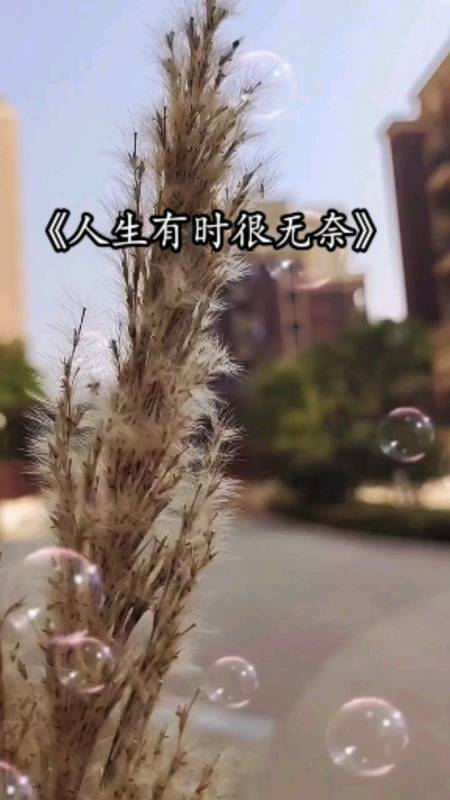 虞恋莎人生感悟#人生有时真的很无奈!