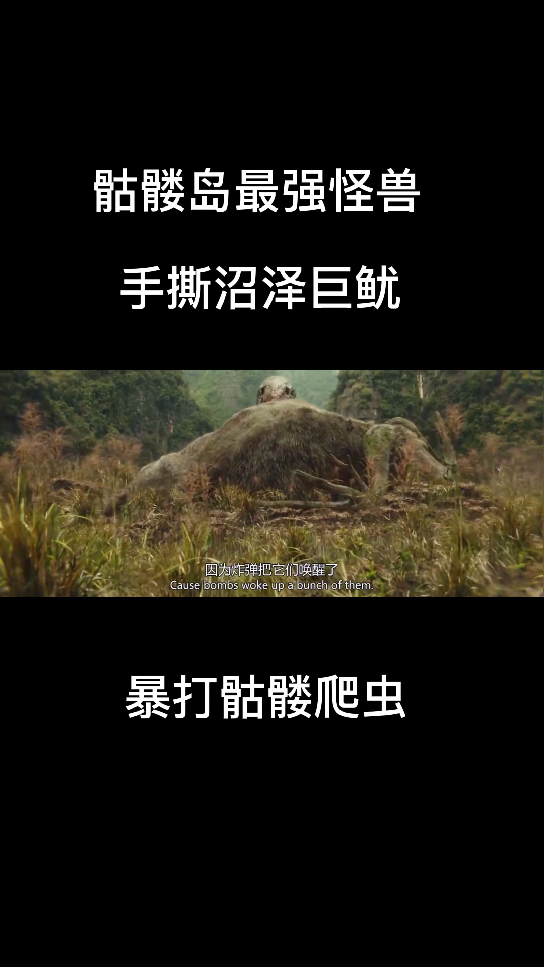 好看电影#金刚骷髅岛中最强怪兽金刚,手撕沼泽巨鱿,大战骷髅爬虫