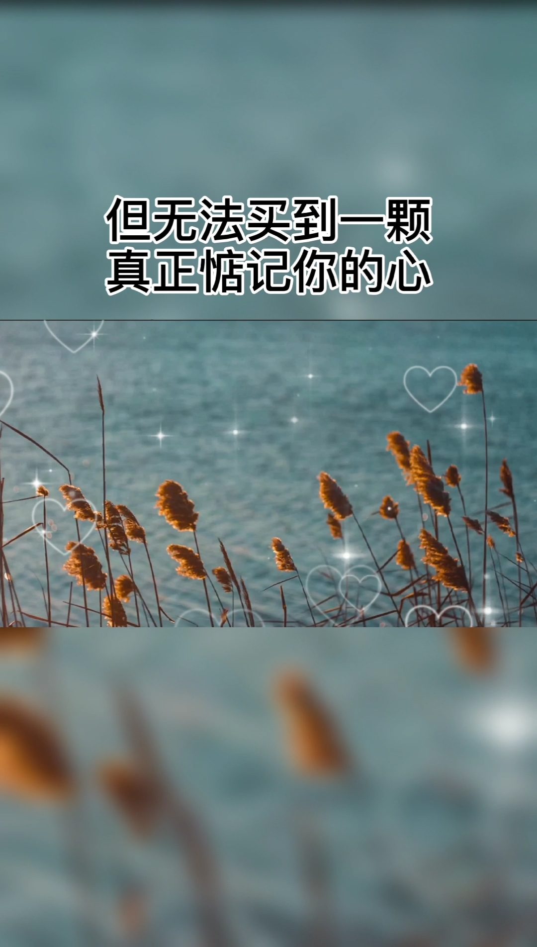 情感故事#好好珍惜对你好的人