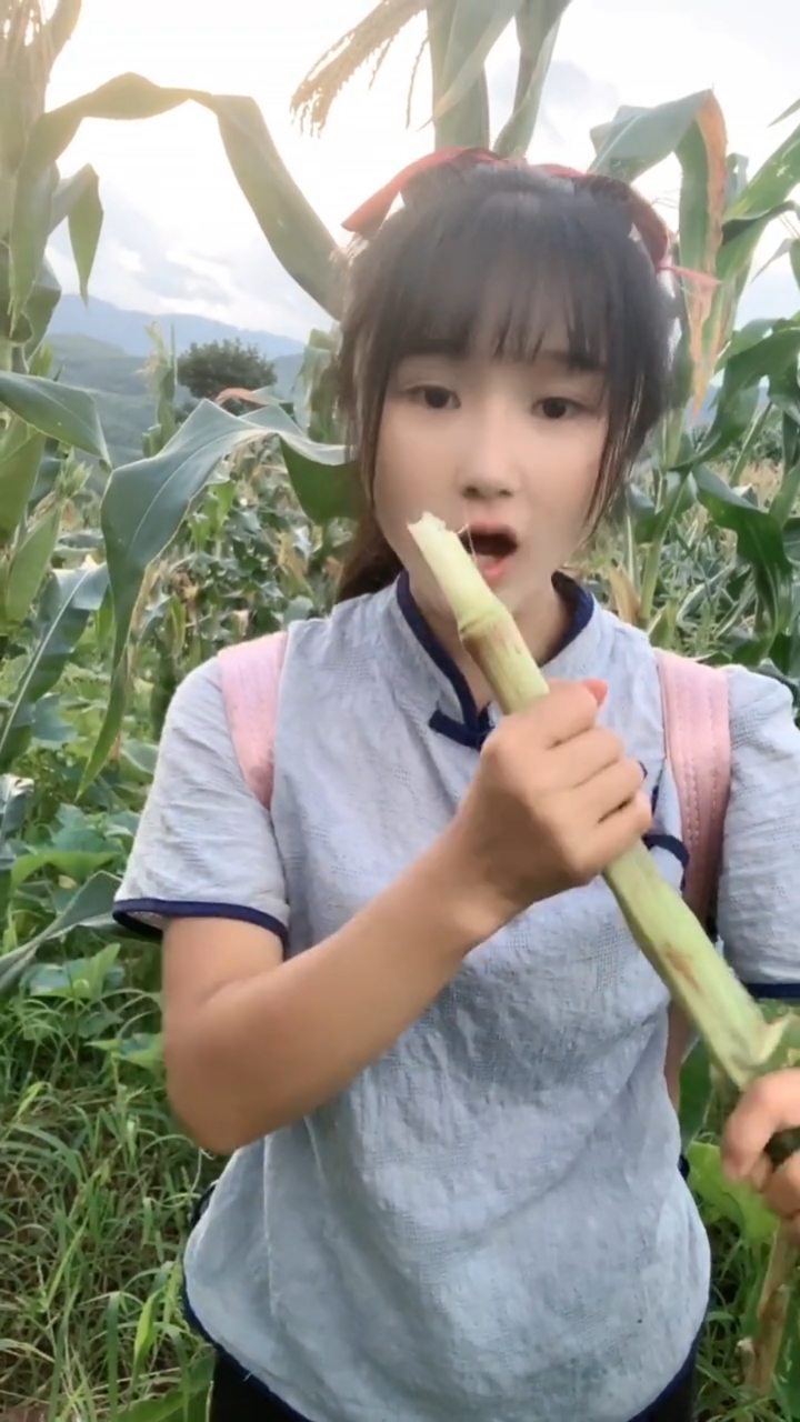 在农村把玉米杆当甘蔗吃的嘻嘻很甜的你们有没有吃过小时候把它当零食