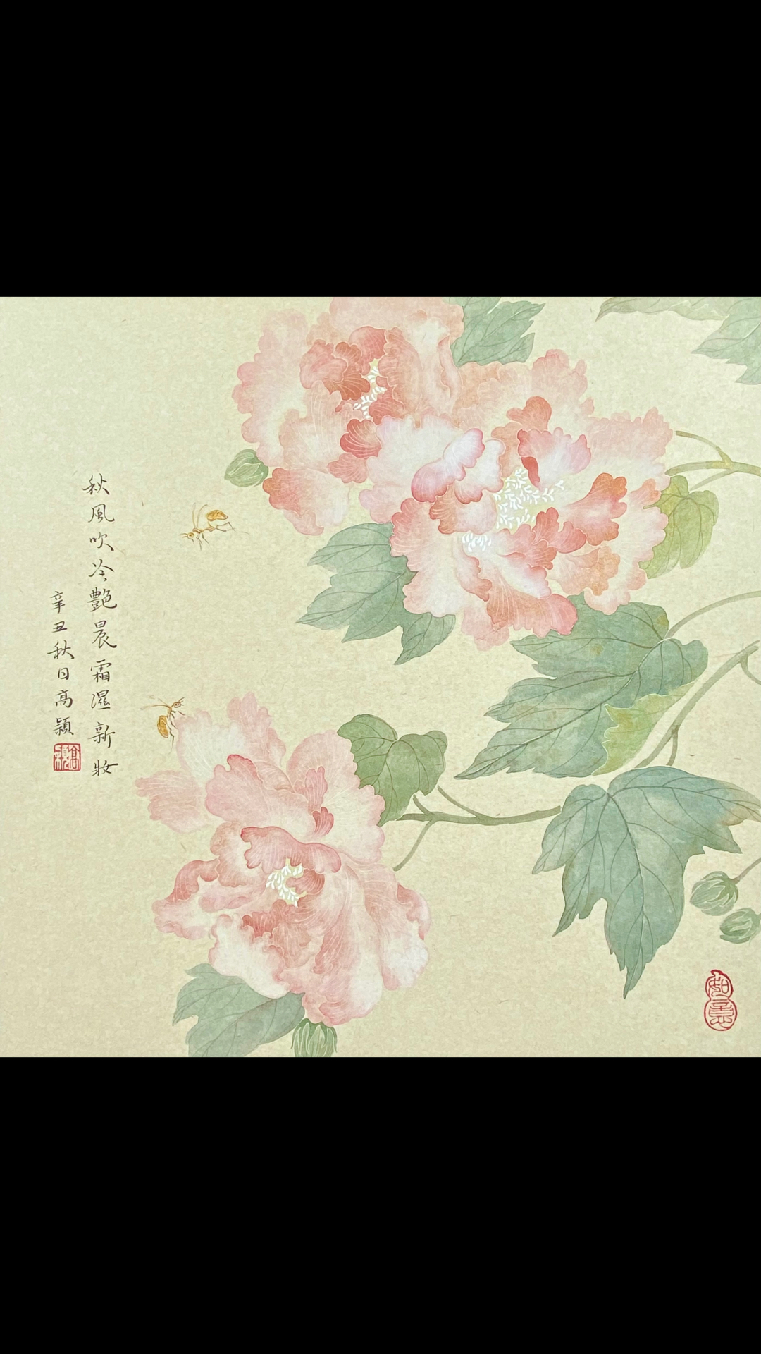 绘画中国画芙蓉花的没骨画法完结