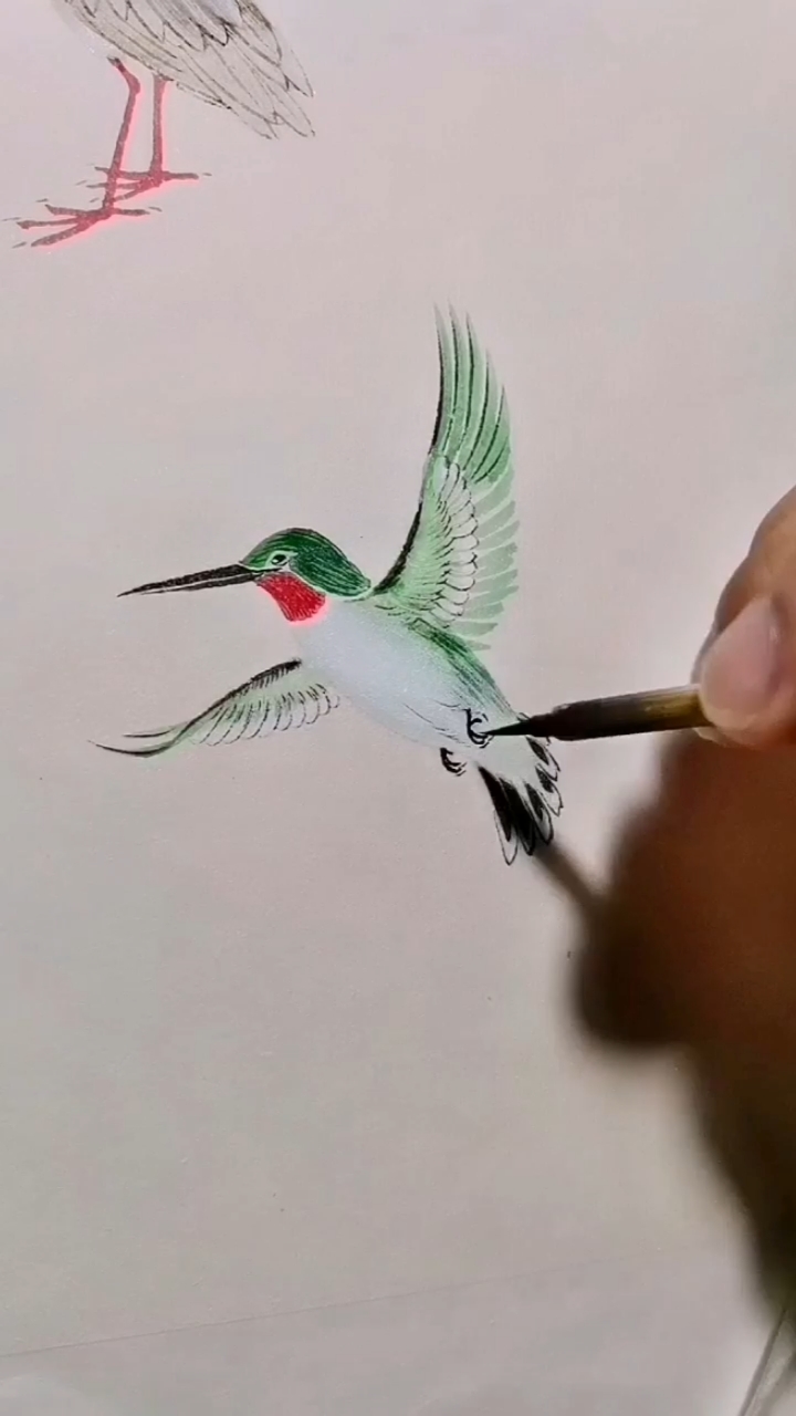 徐伯逸书画画一只可爱的小蜂鸟