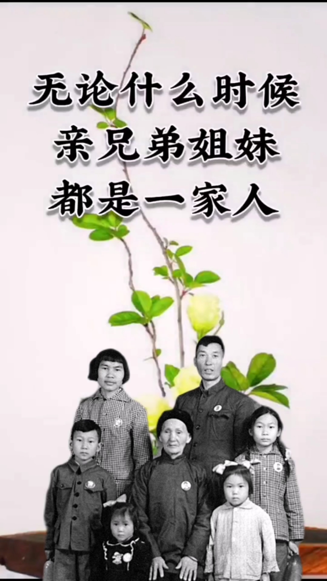 人生苦短,珍惜好这辈子的手足之情.