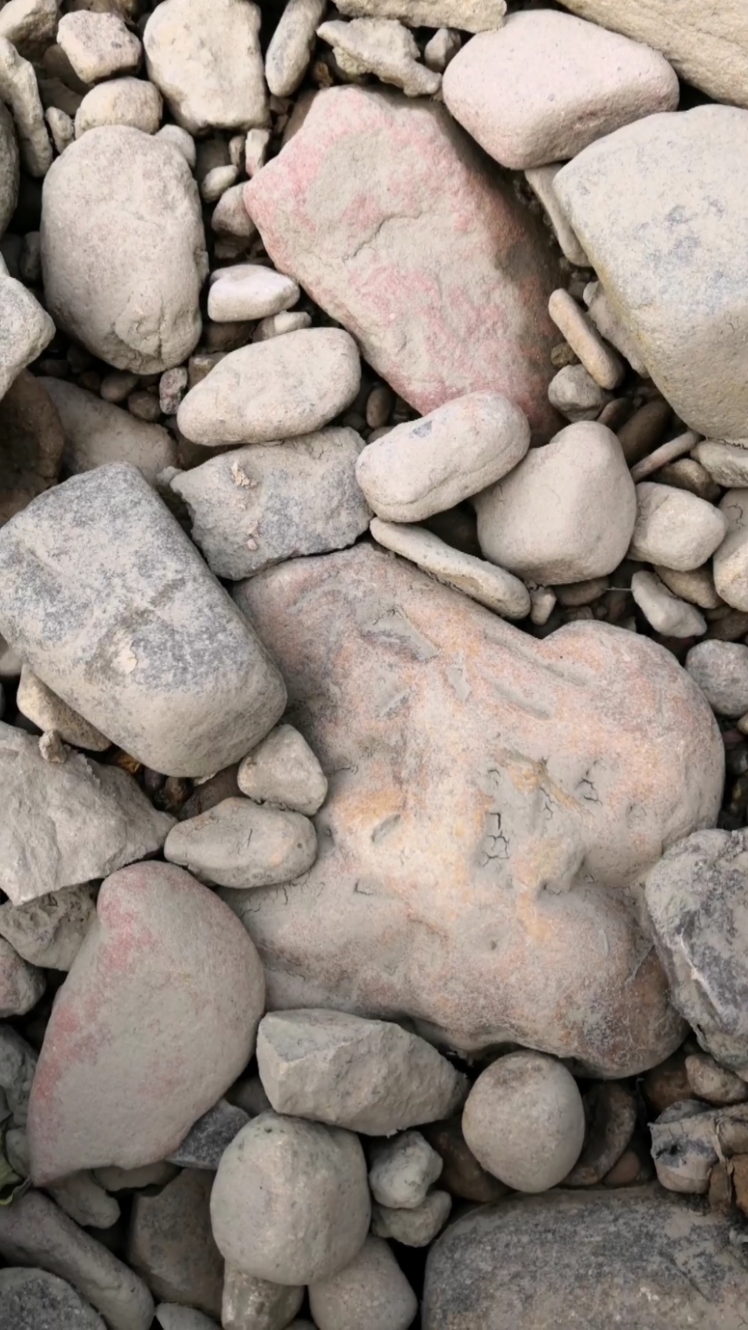 捡起美石的一瞬间,捡到黄蜡石大金印