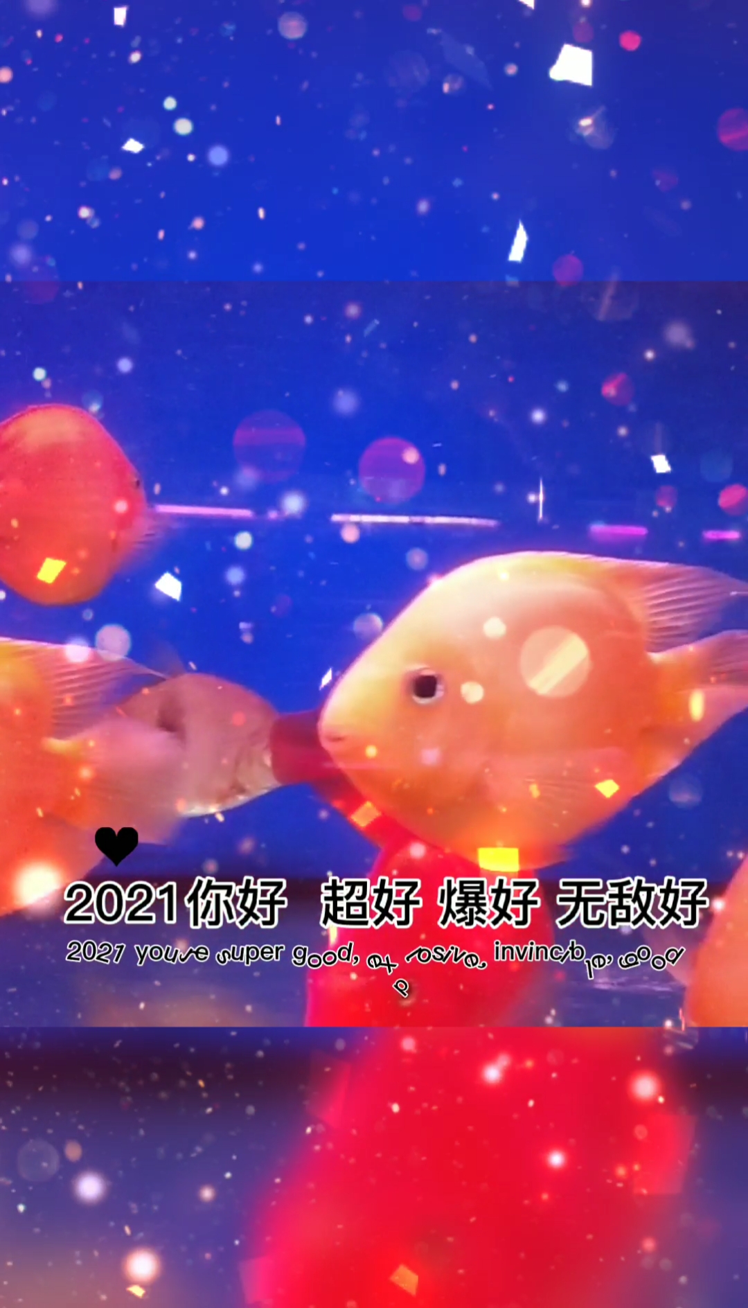 2021越来越好#2021万事胜意心想事成