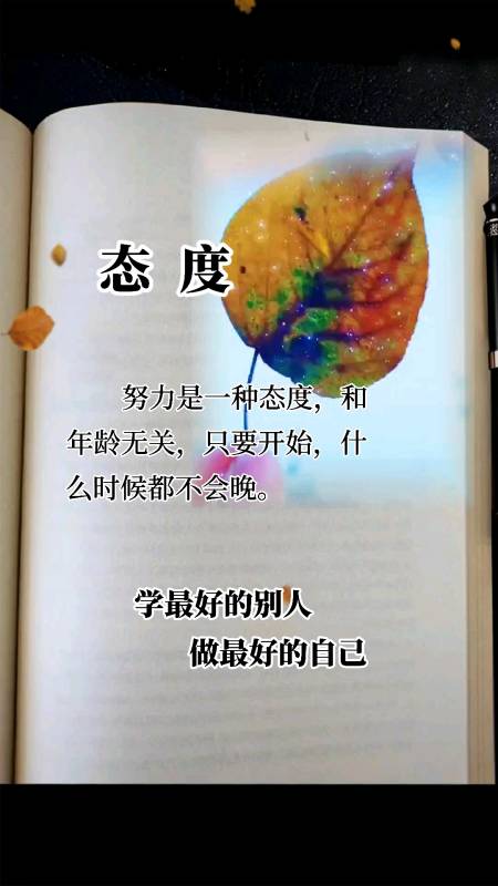 记录生活#努力是一种态度,无关年龄.
