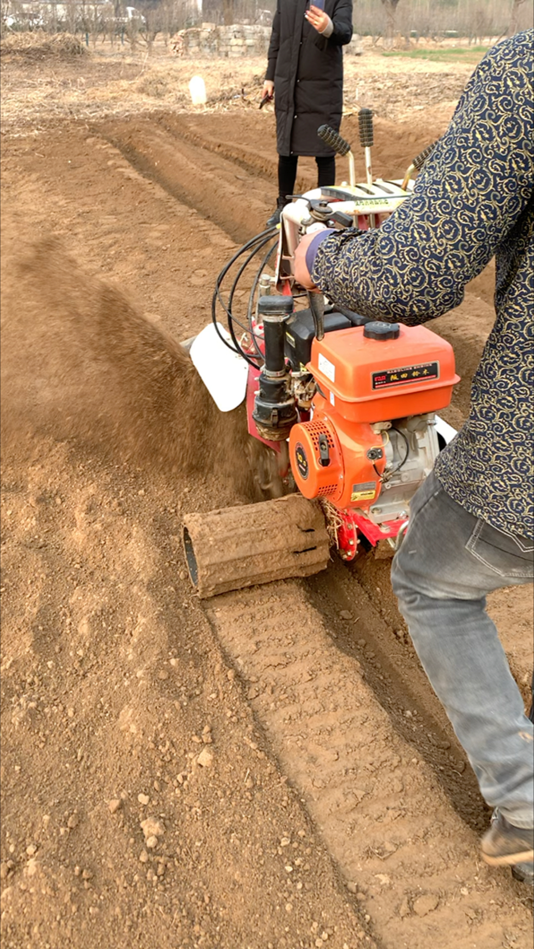 开沟培土机#新款大葱生姜开沟培土起垄机