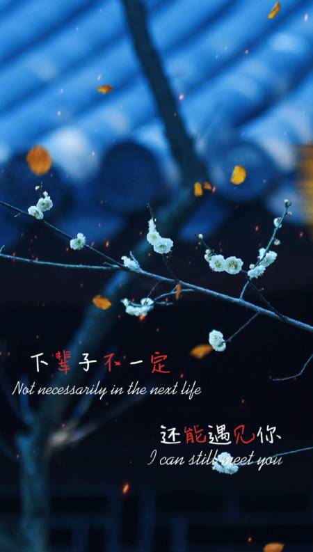 情感故事#下辈子不一定还会遇见你所以我很珍惜不敢大意