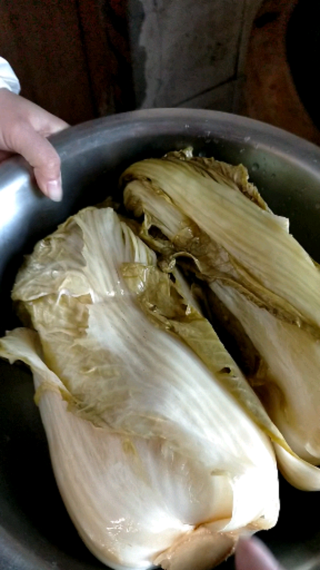 纯绿色大白菜富硒水腌制东北特色酸菜预订中