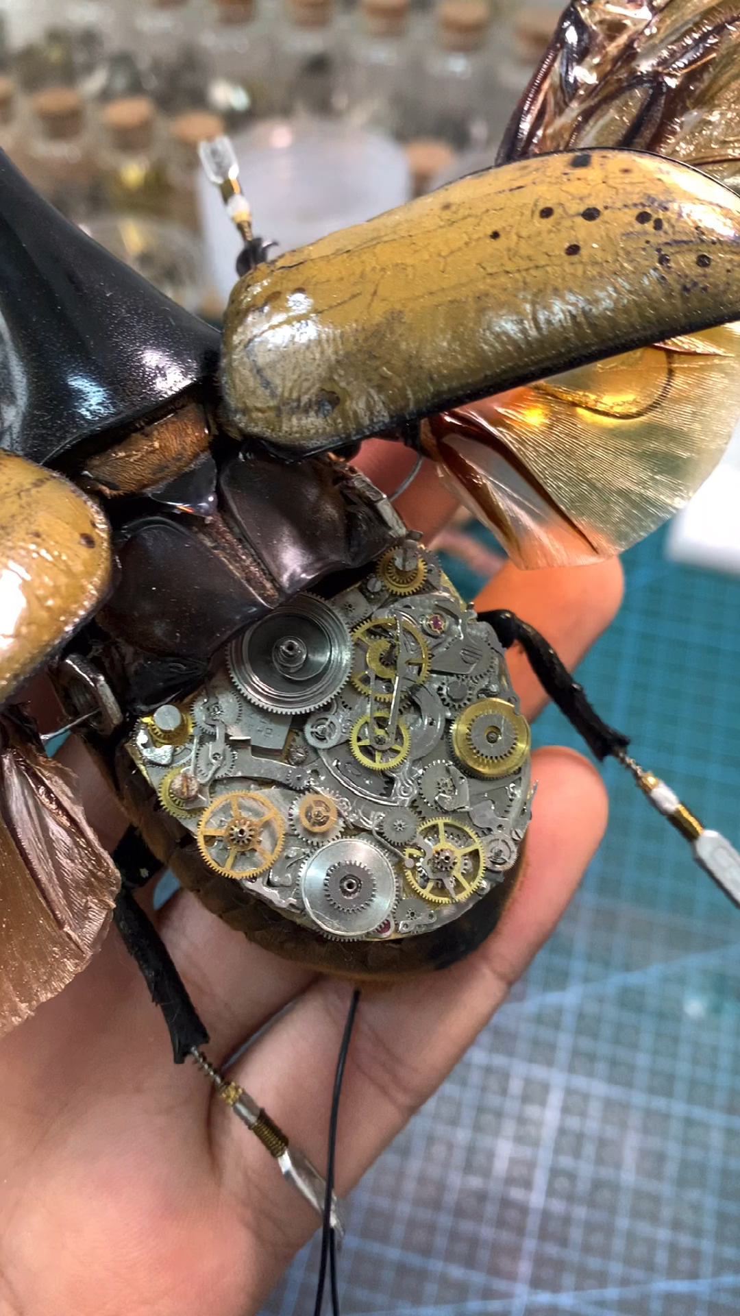 手工diy#机械昆虫标本