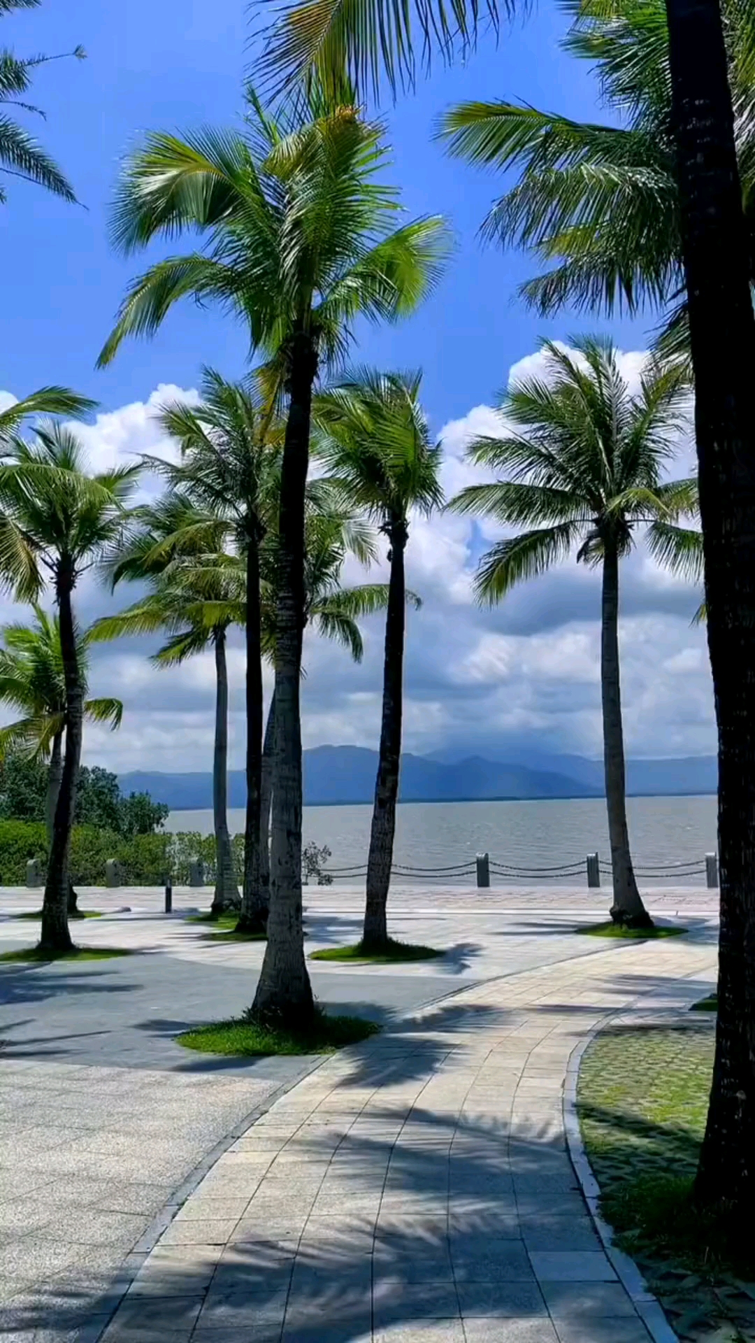 深圳:红树林海滨生态公园
