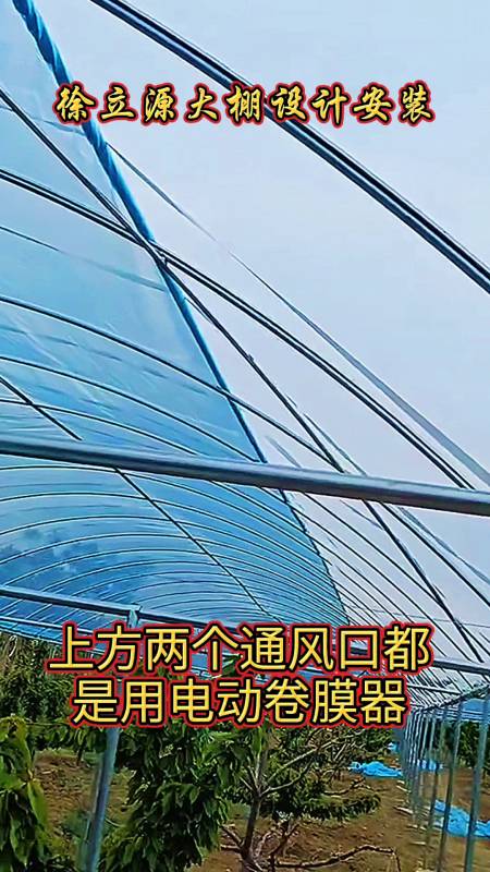 樱桃避雨棚樱桃避雨棚葡萄避雨棚温室大棚种植大棚温室大棚设计安装
