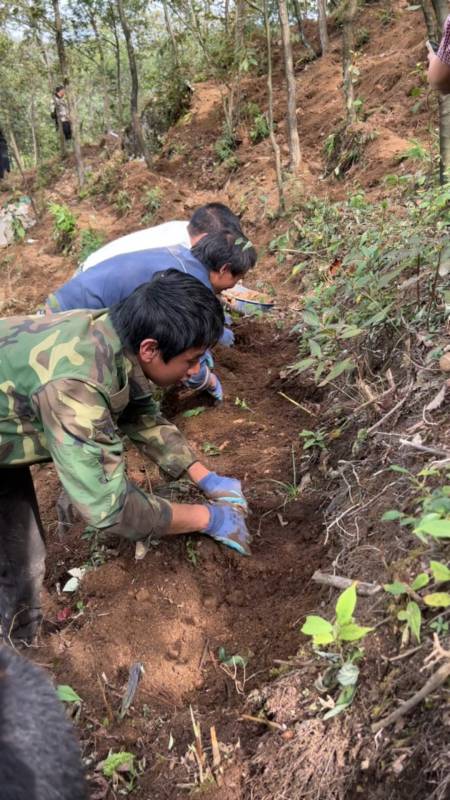 世人慌慌张张,不过是图碎银几辆,偏偏是这碎银几两,能解世间万种慌张!