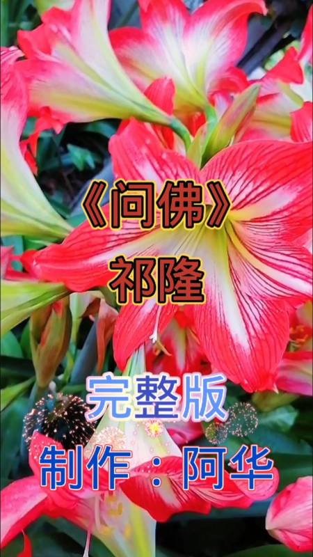 全民k歌##《問佛》祁隆#旋律優美淨化心靈,累了的時候靜下心來聽這首