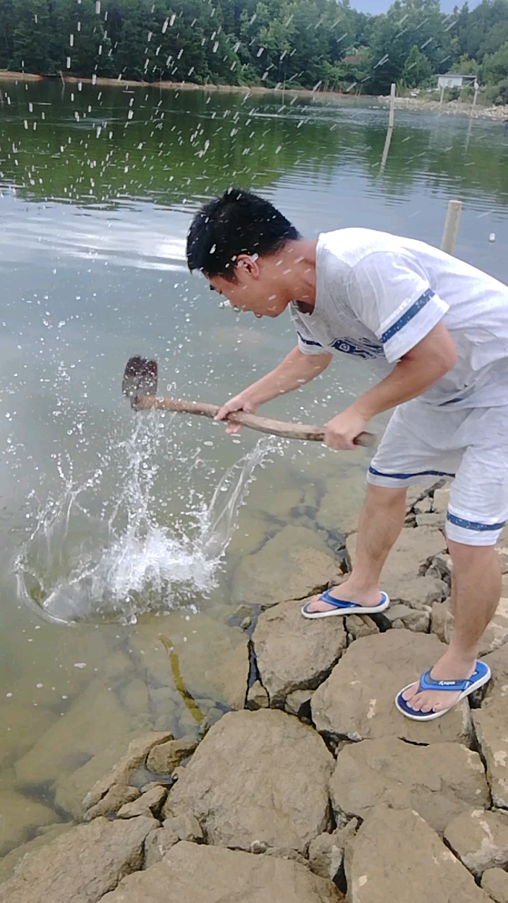 户外抓鱼#别眨眼,打到鱼了!