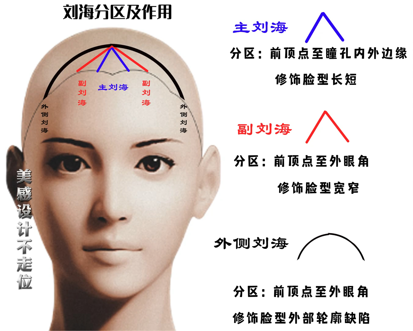 美发教程#美发学校刘海分区海蒂老师剪发教程